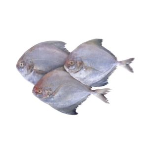Crown Farms Black Pomfret Fish Frozen 800-1000g